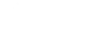 Dive in Market_bialy